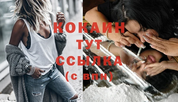 спиды Покровск